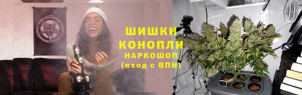 прущие грибы Верея