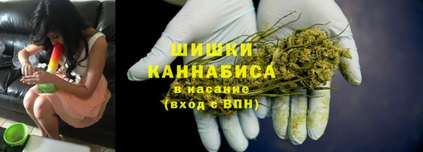 прущие грибы Верея