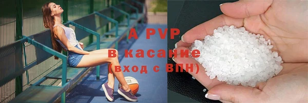 прущие грибы Верея