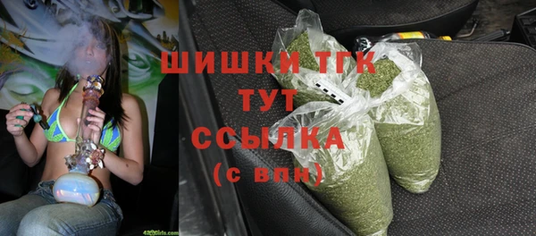 прущие грибы Верея