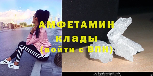 прущие грибы Верея
