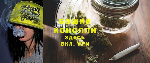 молекула духа Вязьма