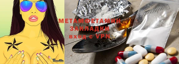 прущие грибы Верея
