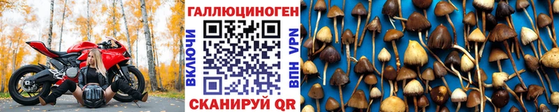 Галлюциногенные грибы Cubensis  продажа наркотиков  Одинцово 